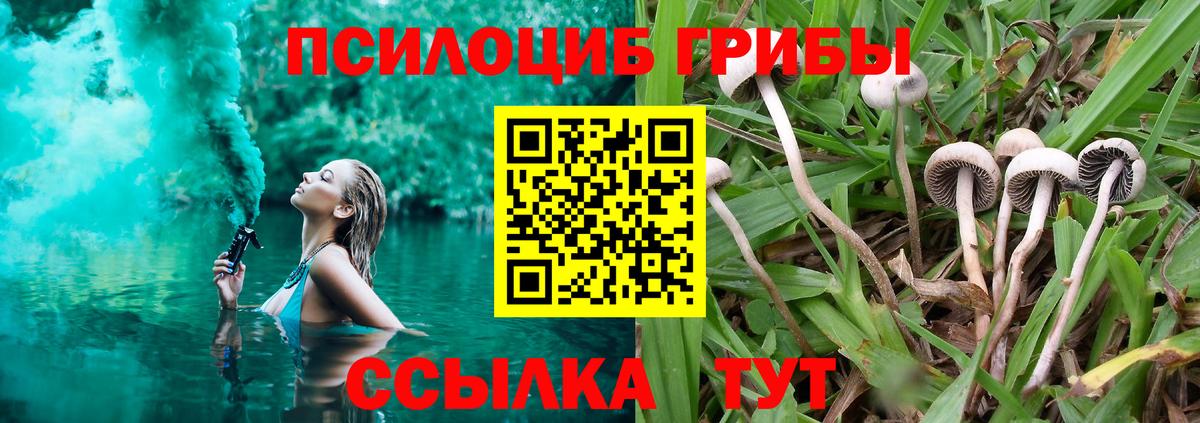 Галлюциногенные грибы Psilocybine cubensis  Вход с VPN  Галлюциногенные грибы мухоморы  Тула 